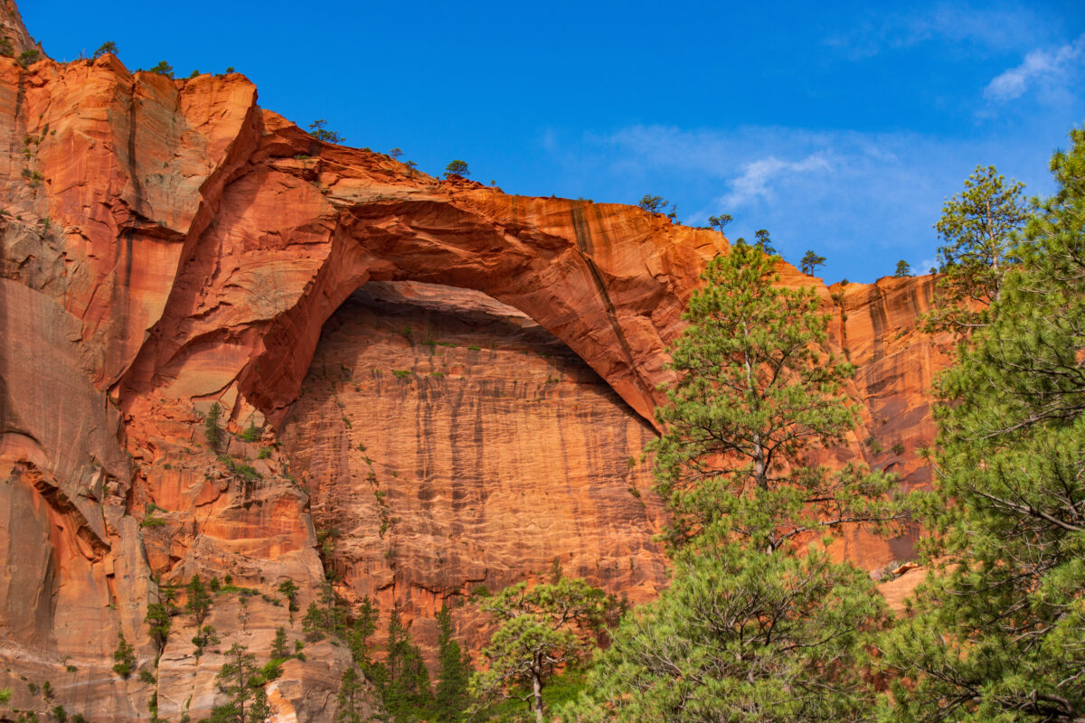 Kolob Arch 