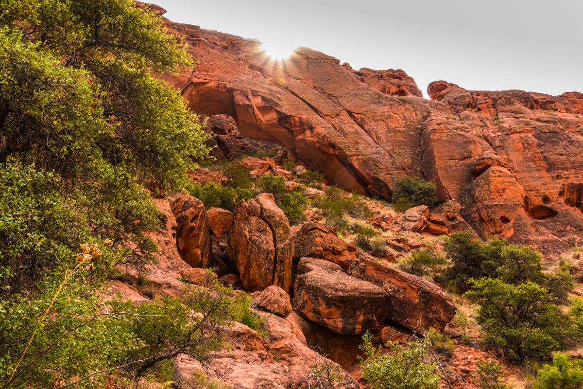 Johnson Arch, Snow Canyon State Park