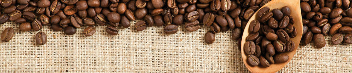 Roasted coffee beans on burlap.