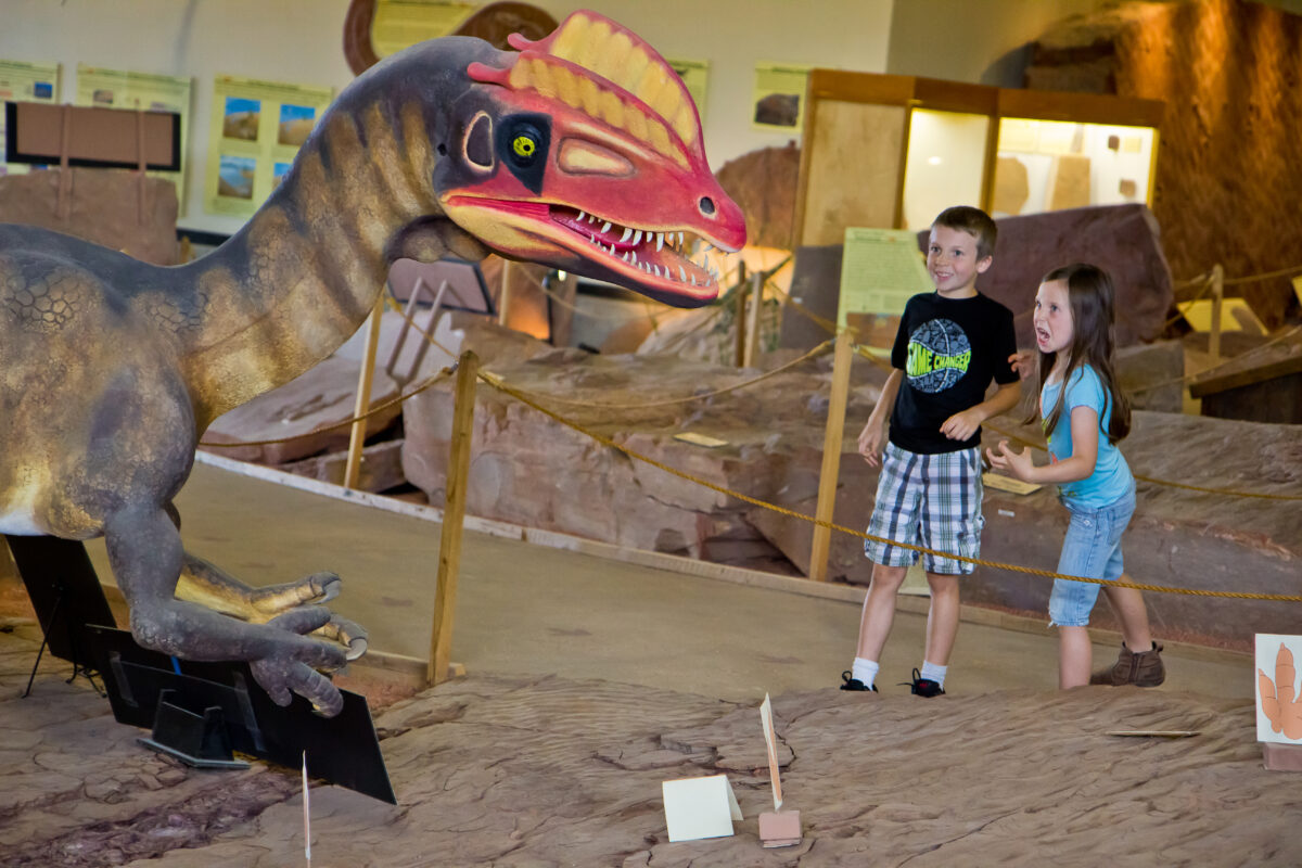 dinosaur discovery site kids 022