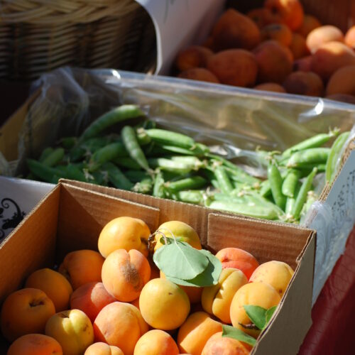 downtown farmers market 021