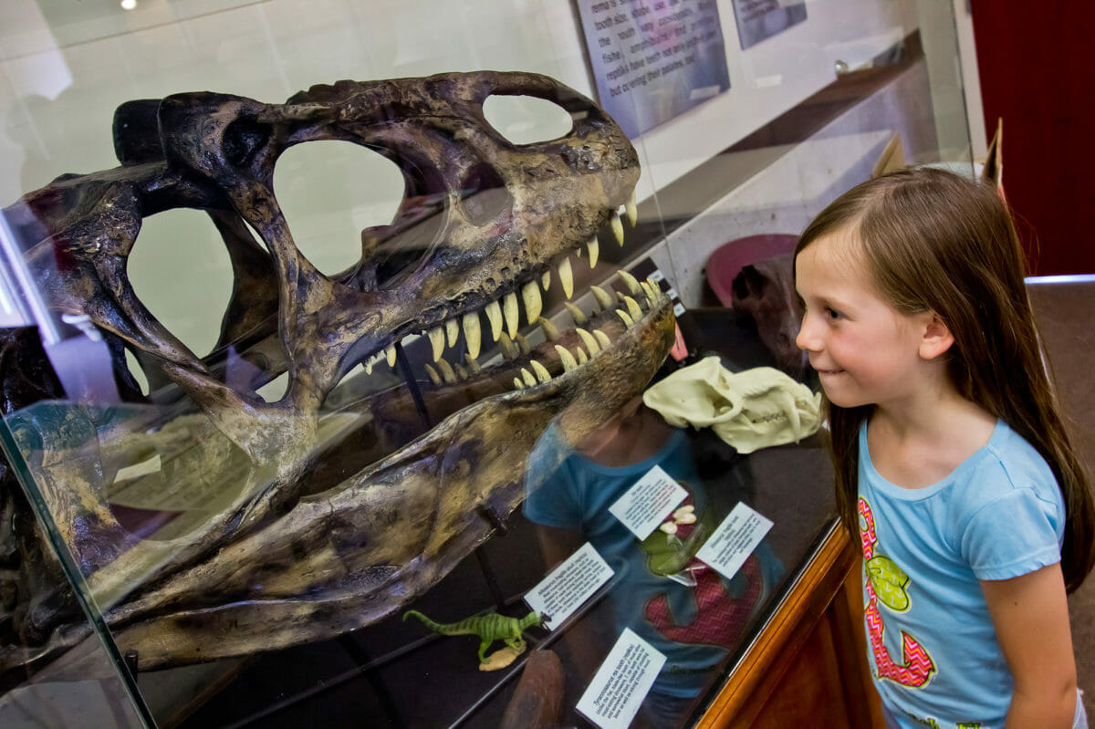 Young girl at Dinosaur Discovery Site at Johnson Farm