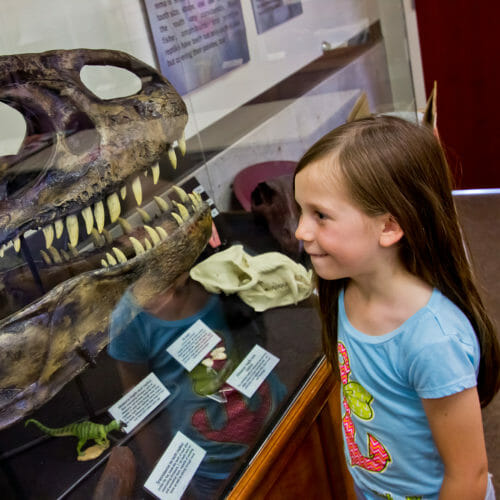 girl dinosaur museum