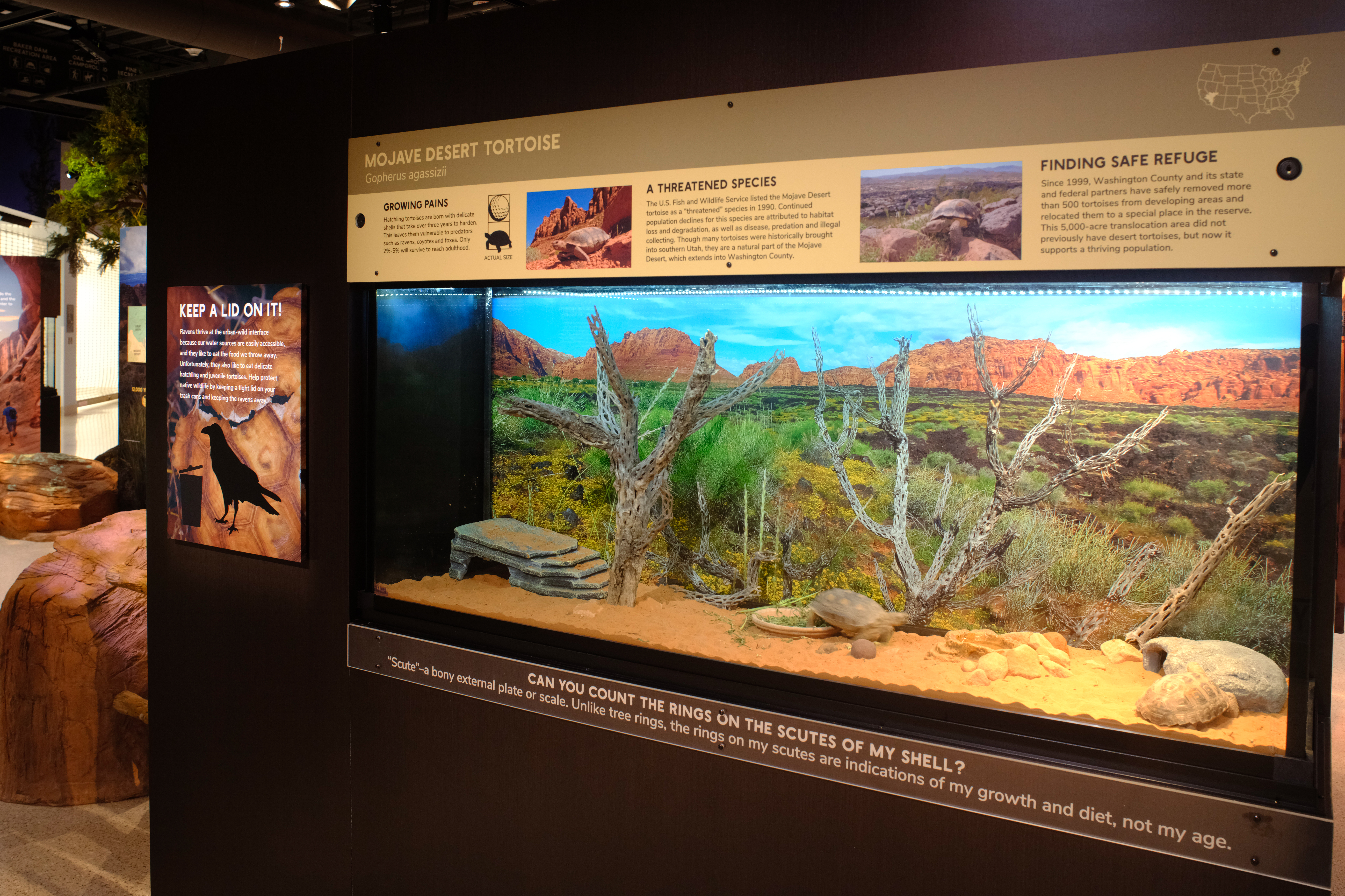 greater zion visitor center david paul green visual terrain inc 057