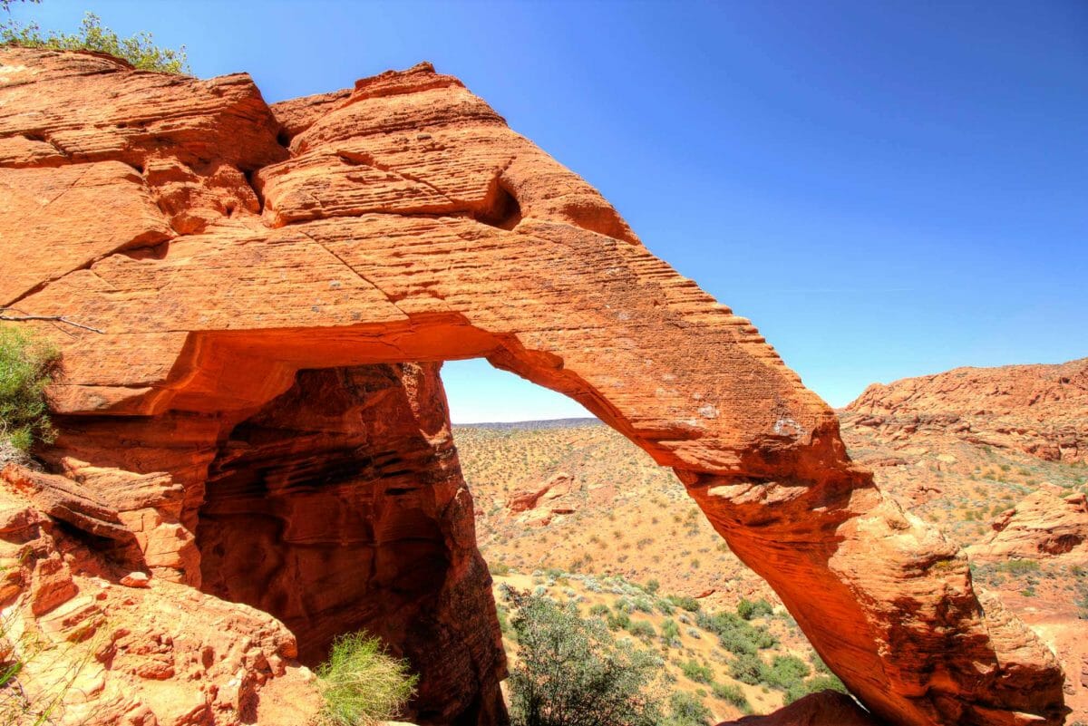 Elephant-shaped rock formation in Red Cliffs National Conservation Area