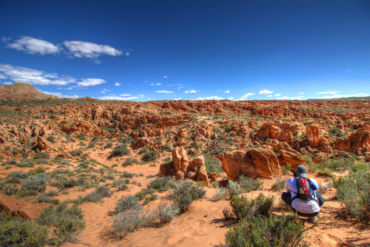Man hiking in the Red Cliffs National Conservation Area