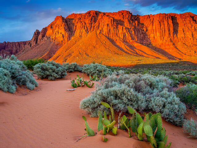Red mountains loom over desert. Photo Credit: Nathan Wotkyns