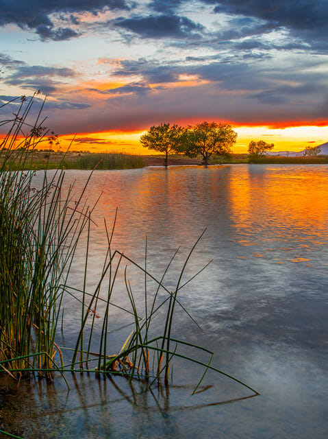 Sun setting over lake with trees. Photo Credit: Nathan Wotkyns