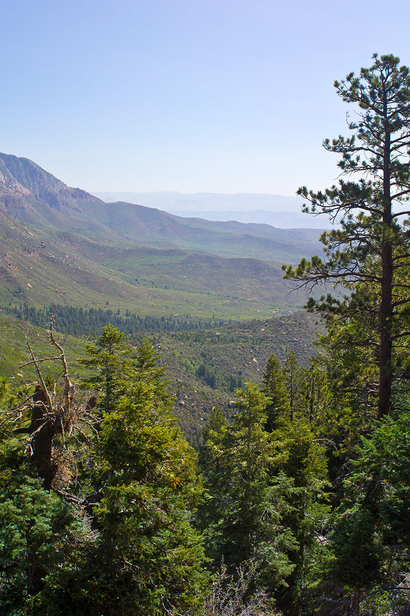 View from top of mountain