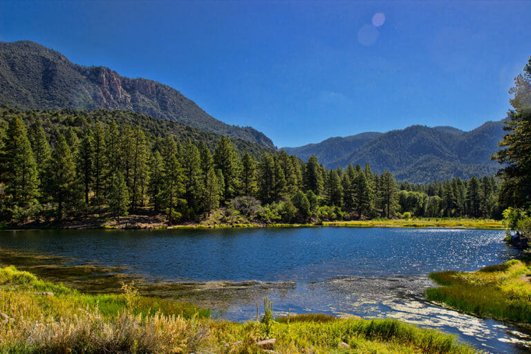 Blue waters of mountain lake surrounded by green grass, tall pines, and bright blue skies.