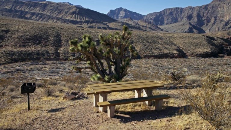 Virgin River Canyon Campground