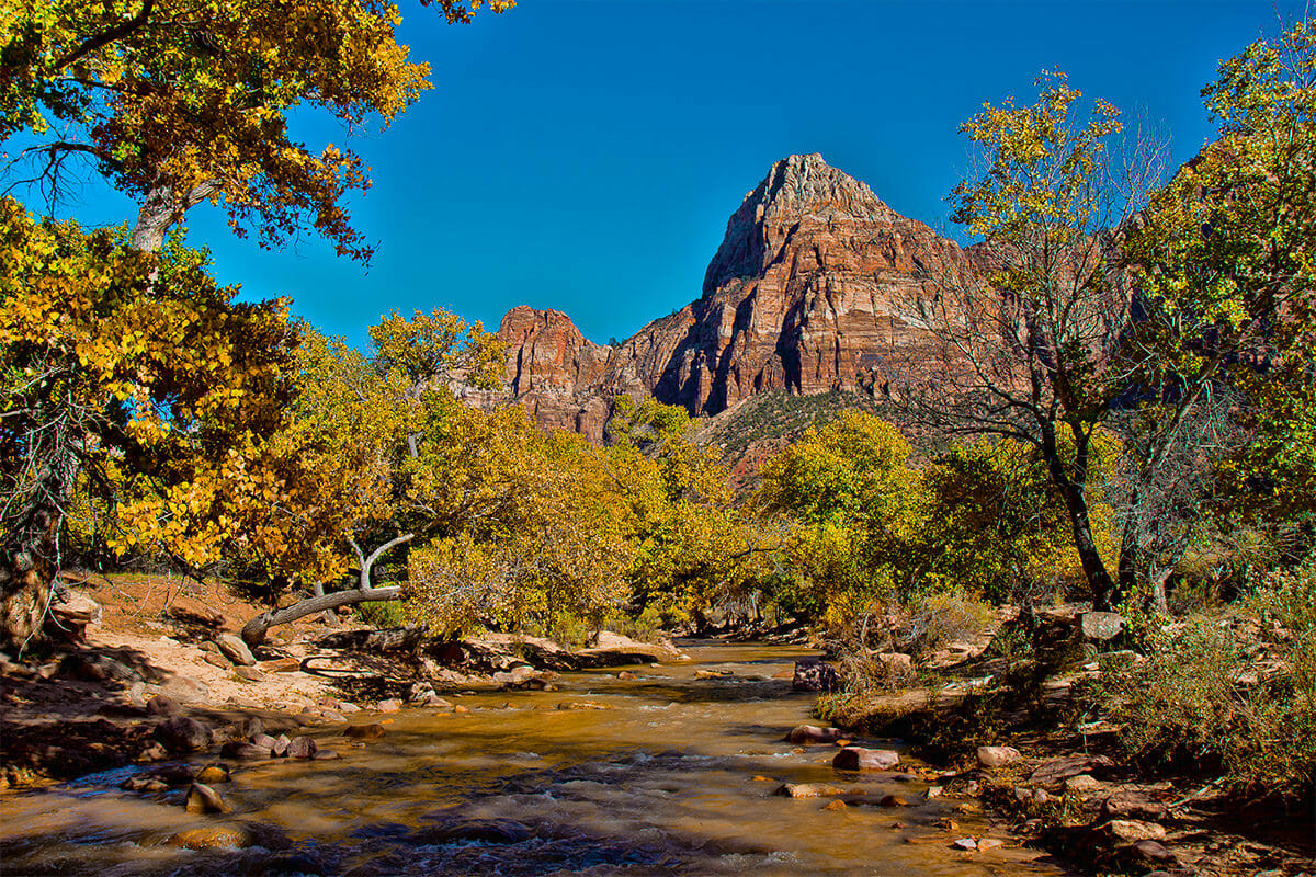 The Virgin River flowing through Zion National Park. Photo Hotspot In Zion National Park.