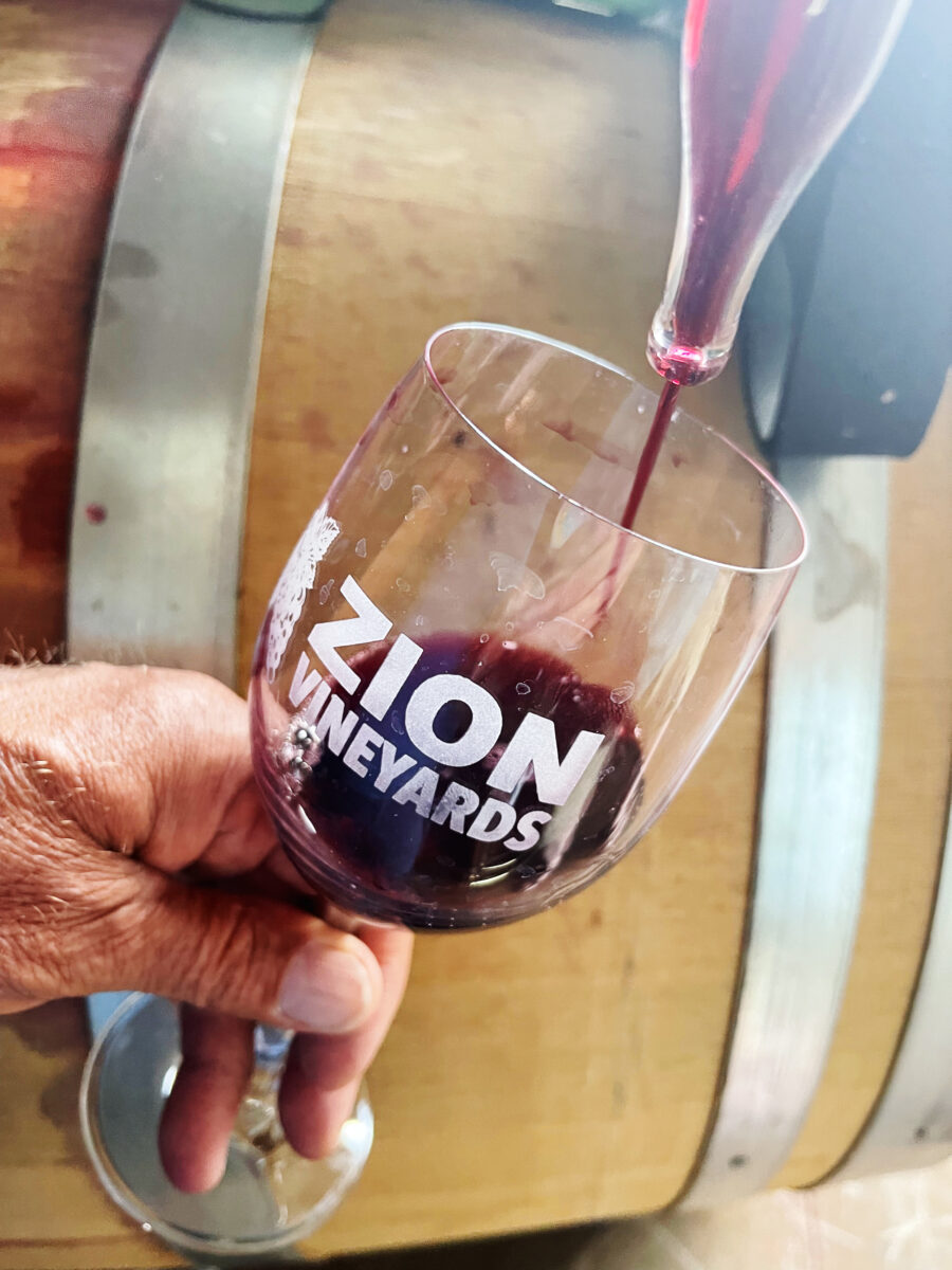 zion vineyards amazing visual nuggets 019