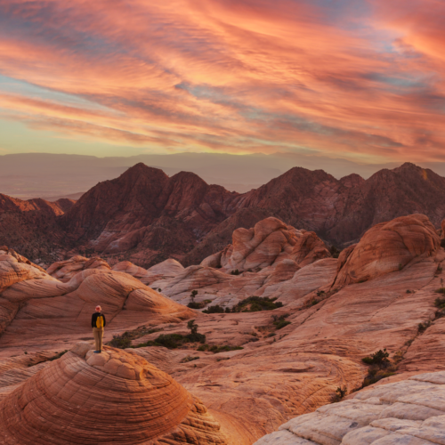 AdobeStock 1296707752edits