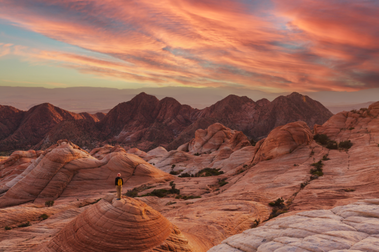 AdobeStock 1296707752edits