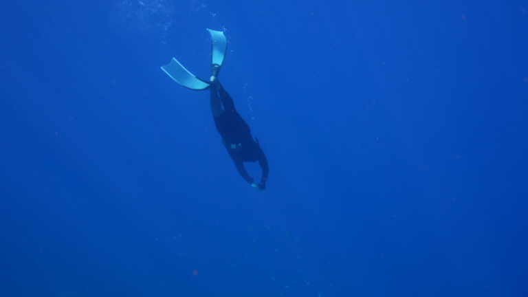 vlcsnap 2026 01 12 11h14m17s684