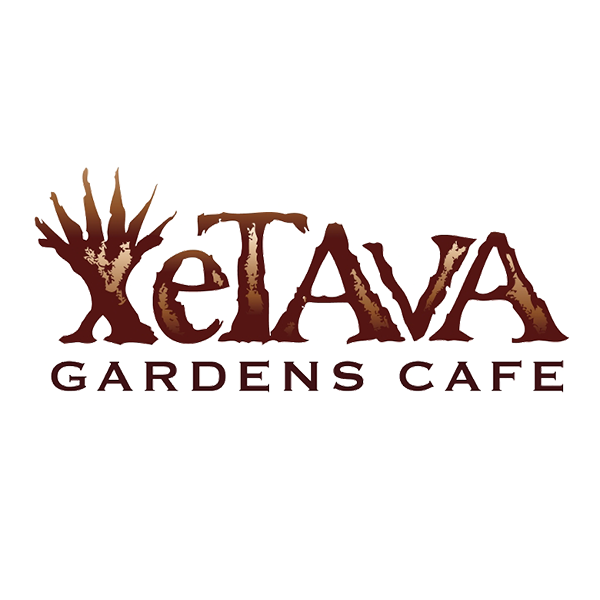 Xetava logo